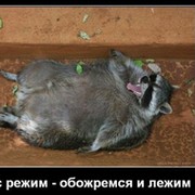Крошка  Еношка ( З.С) on My World.