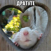 Татьяна Гавриленко on My World.