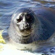 Иван Николаевич on My World.