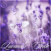 Lavender |Summer| Tribe группа в Моем Мире.