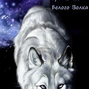 Братство Белого Волка [БиК] группа в Моем Мире.