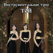 Инструментальное трио "Той" группа в Моем Мире.