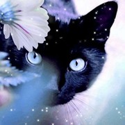 Людмила Трифонова on My World.