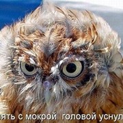 Татьяна П on My World.