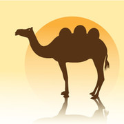Camel  3 on My World.