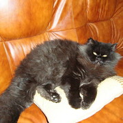 МИШАНЯ )))) on My World.