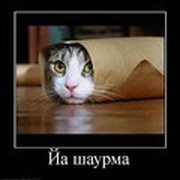 Тюряга Добавляйтесь !!! on My World.