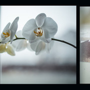 ***Алёна Бочарова on My World.