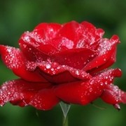 Аида Ахбалаева on My World.