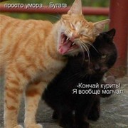 Саша Иванов on My World.