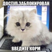 Алина Белова on My World.
