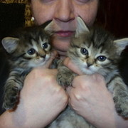 Алла Карпова on My World.