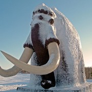 Андрей Нестеренко в Моем Мире.