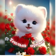 татьяна филипенко on My World.