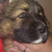 luka .... on My World.