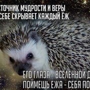 ЕЖИК  В ТУМАНЕ on My World.