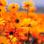 Shamitko72@mail.ru )))) on My World.