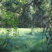 Ира И on My World.
