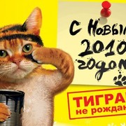 Константин Анофриев on My World.