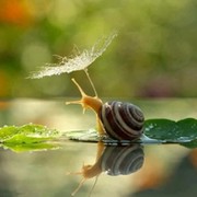 Катерина Прокофьева on My World.