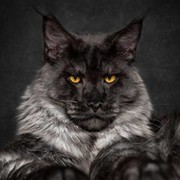 Владимир Лавроненко on My World.
