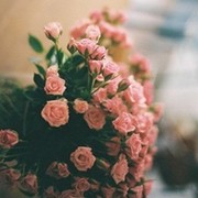 Наталья Сунцова on My World.