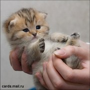 Татьяна Роговая on My World.