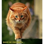 Влад Павлов on My World.