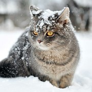 Михаил Журавлев on My World.