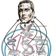 Сергей Коновалов on My World.