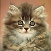 Светлана Обухова on My World.