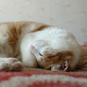   Z Семён Лобанов on My World.