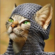 Васька Львиное сердце on My World.
