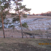 александр щедров on My World.