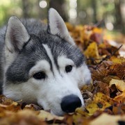 ОСЗН Стародуб on My World.