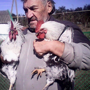 Владимир Кузнецов on My World.