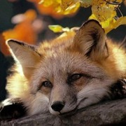Татьяна С а on My World.