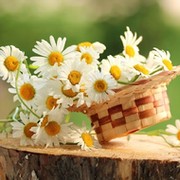 Наталья  Цалева on My World.