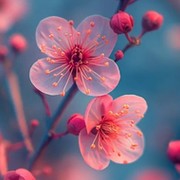 Юлия . on My World.