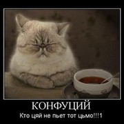 Вероника Пулова on My World.