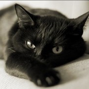 Виталий . on My World.