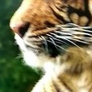 Владимир Чинаков on My World.