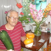 юрий ипатов on My World.